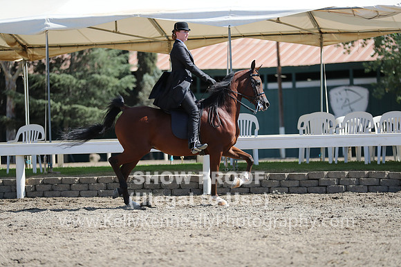 DAHA_FALL19SUNPM_8024