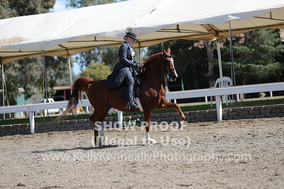 DAHA_FALL19SUNPM_8026
