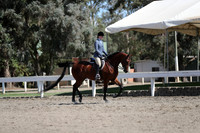 DAHA_FALL19SUNPM_8067