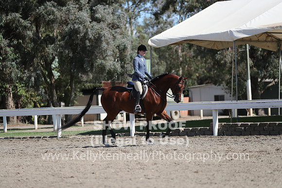 DAHA_FALL19SUNPM_8067
