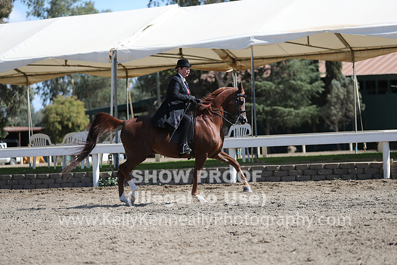 DAHA_FALL19SUNPM_8029