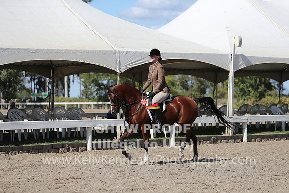 DAHA_FALL19SUNPM_8075