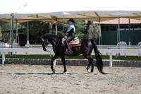 DAHA_FALL19SUNPM_8088