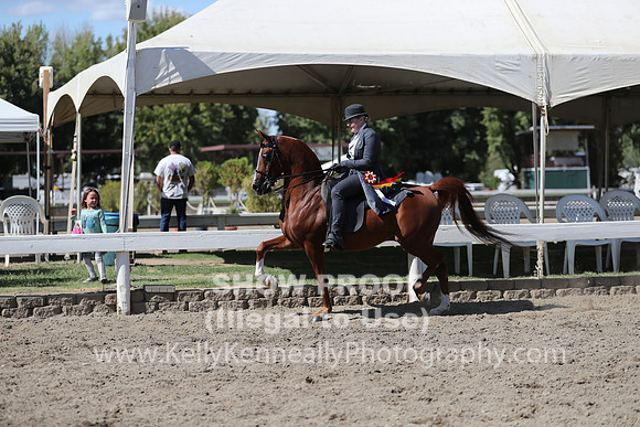 DAHA_FALL19SUNPM_8040