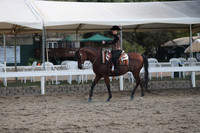 DAHA_FALL19SUNPM_8100