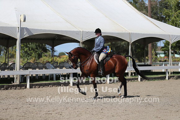 DAHA_FALL19SUNPM_8083