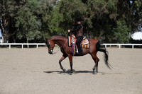 DAHA_FALL19SUNPM_8113