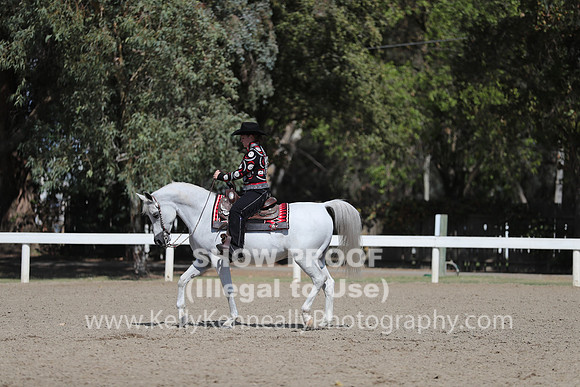 DAHA_FALL19SUNPM_7985