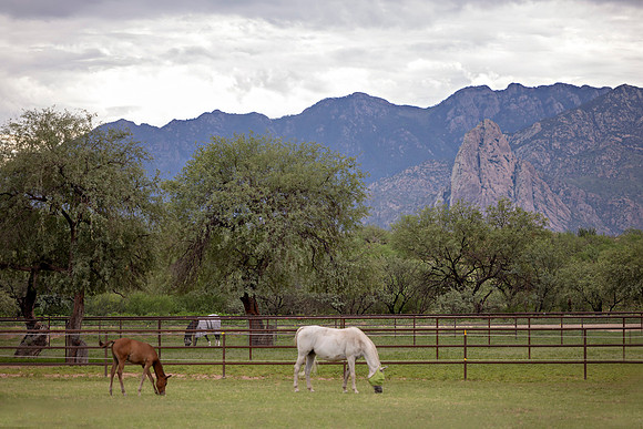 RS_Pastures_1813