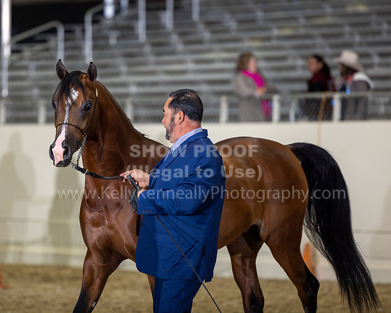 AHANC22_R5_Wed_0685