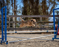 Agility2019_9629