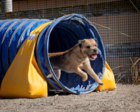 Agility2019_9793