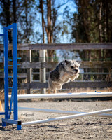 Agility2019_9538