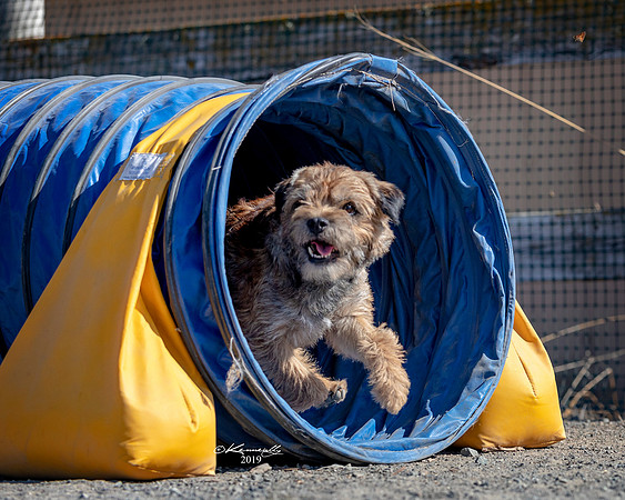 Agility2019_9637