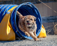 Agility2019_9644