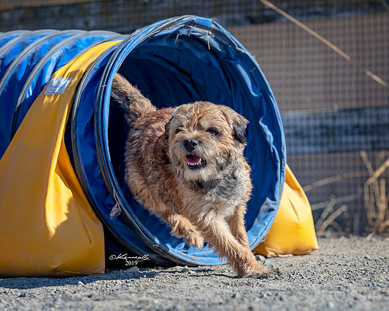 Agility2019_9644