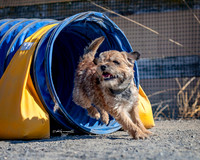 Agility2019_9639