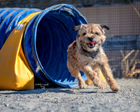 Agility2019_9648