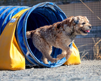 Agility2019_9652