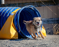 Agility2019_9672