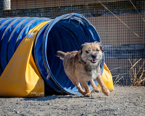 Agility2019_9672
