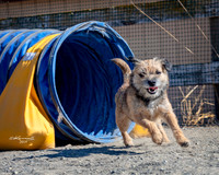 Agility2019_9673