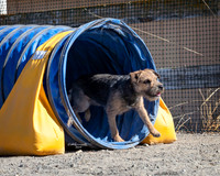 Agility2019_9690