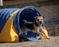Agility2019_9705