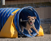 Agility2019_9716