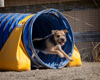 Agility2019_9700