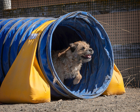 Agility2019_9724
