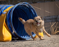 Agility2019_9733