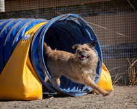 Agility2019_9732