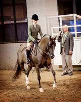 Scottsdale Arabian Horse Show 2014