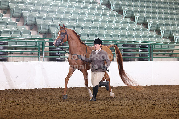 R322_CH_Thurs_2573