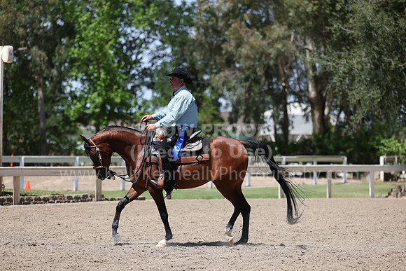 DAHA22_Thurs_1345