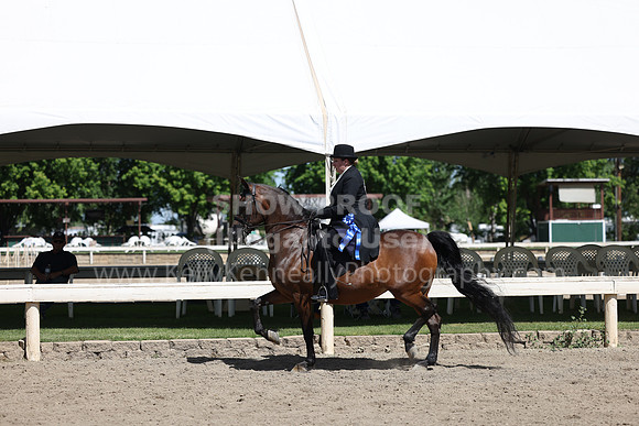 DAHA22_Thurs_0819