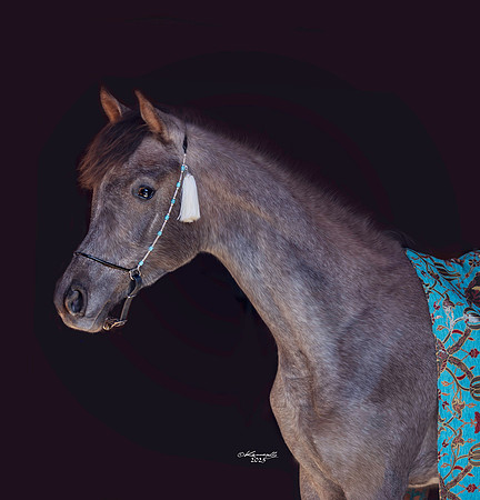 Kamilah_031623_3188HR