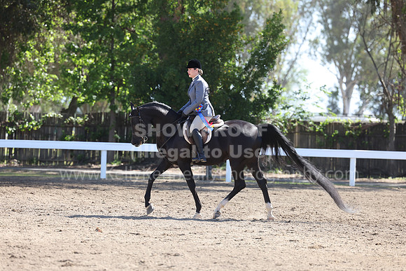 DAHA22_Sun_3317