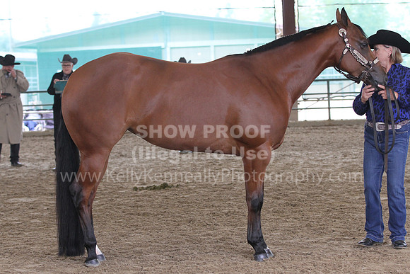 Goldmine21_Wed_Halt_0019654