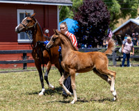 ShermanRanch0524_0359
