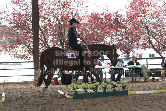 Goldmine21_Thurs_Trail_0012040