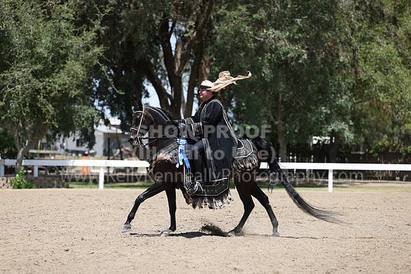 DAHA22_Thurs_1156