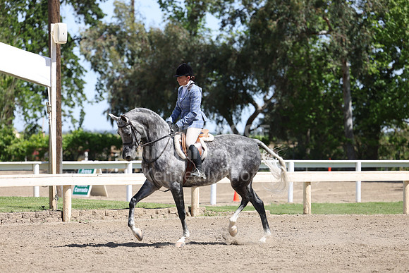 DAHA22_Thurs_0881