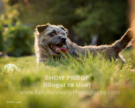 Rachel17_0380