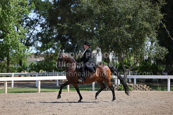 DAHA22_Thurs_0804