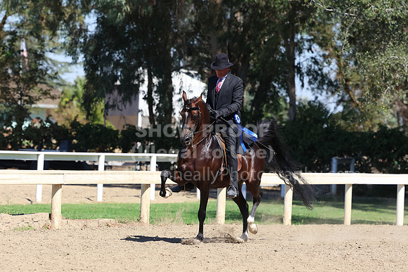 DAHA_FF22_2894