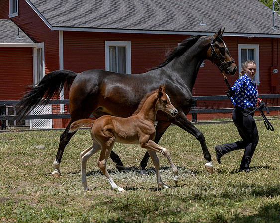 ShermanRanch0524_3391