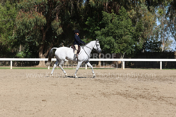 DAHA_FF22_3147