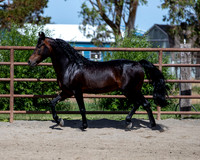 PromisesLegacy0520_0633